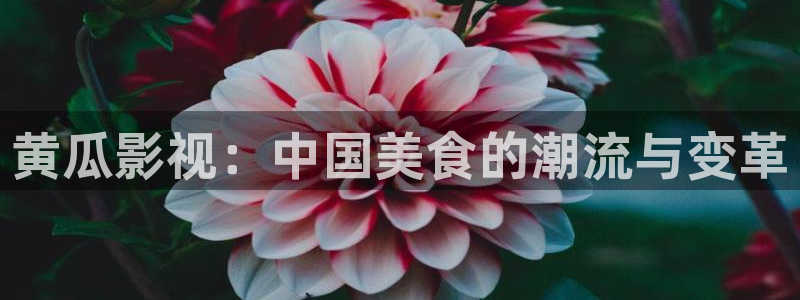 白云视频免费观看电视剧全集：黄瓜影视：中国美食的潮流与变革