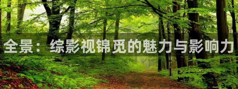 白云视频app：全景：综影视锦觅的魅力与影响力