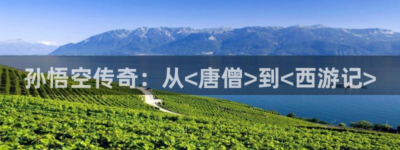 白云tv白云mv免费播放：孙悟空传奇：从<唐僧>到<西游记>