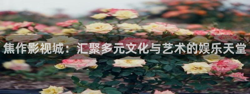 白云动画视频：焦作影视城：汇聚多元文化与艺术的娱乐天堂