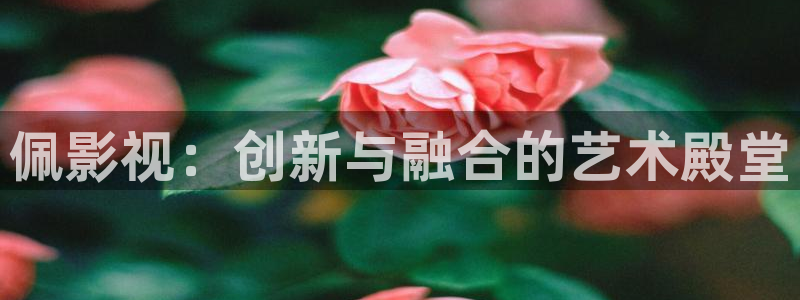 白云视频最新版：佩影视：创新与融合的艺术殿堂